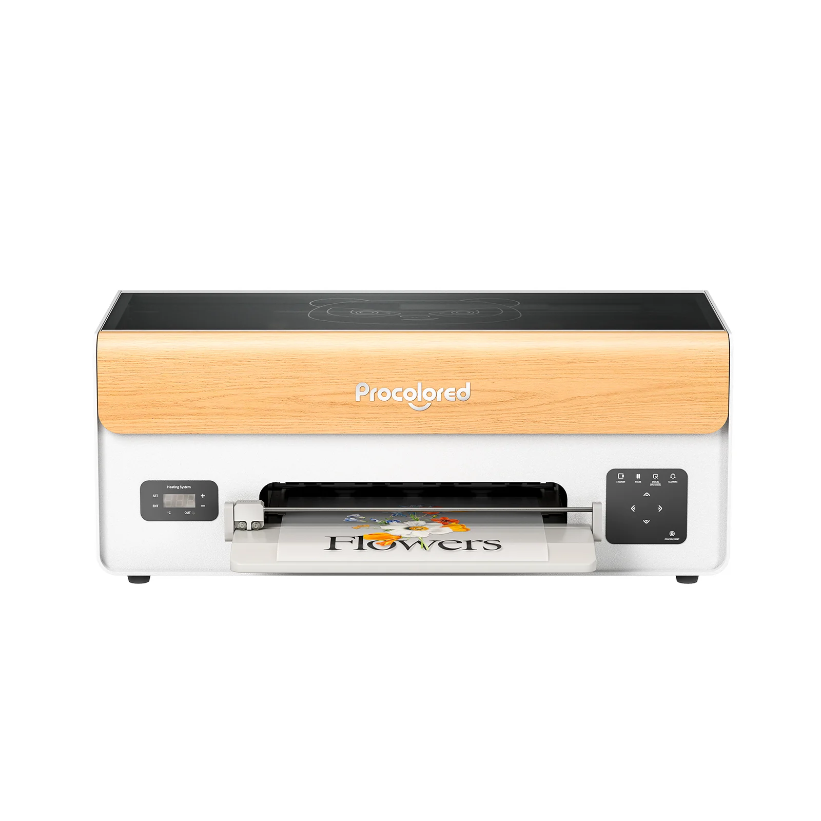 Procolored P13 DTF Printer 13" A3 XP600 - Image 4